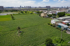 西屯中科路都計內農地
