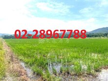 ❤️豐年一小農地~洽0228967788