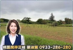 桃園房仲三姐  許厝港一般農地 (投資價)