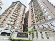 新歐洲2房坡平車位