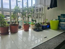 華宮高楼三面採光屋