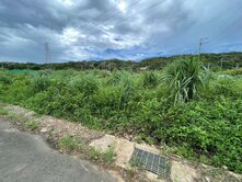 中壢體育園區都內農地-單價最便宜