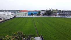 屏東崁頂休閒農地
