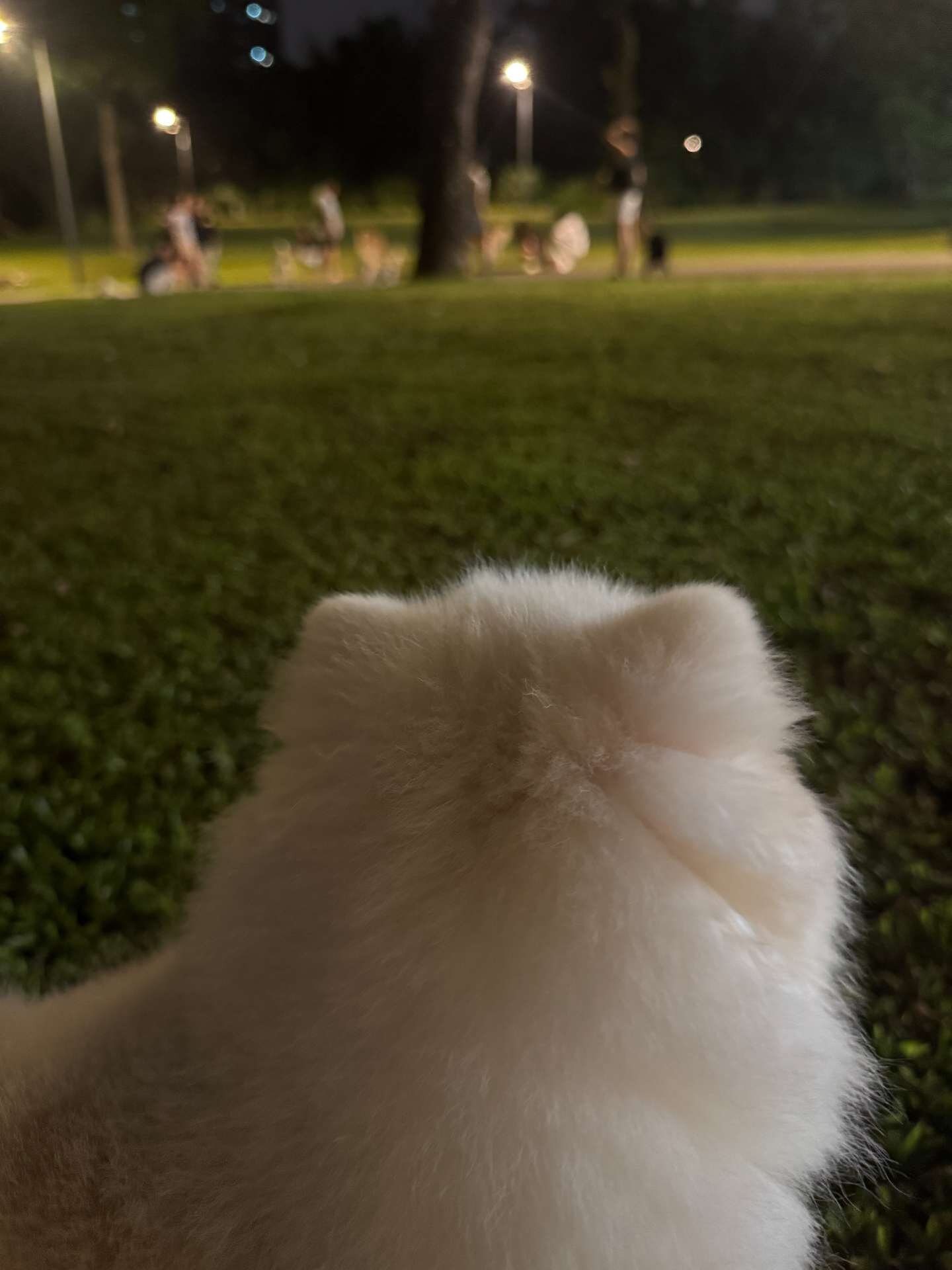 封面圖