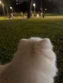 獨家銷售~桃林步道低總價大3房