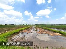 ♦️ 六甲區水漆林330美農地(一)