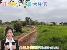 桃園房產總幹事 許厝港 一般農地(大降價) 