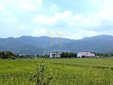 宜蘭縣三星鄉新健富段四分半便宜美農地