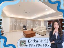 晟義團隊｜小艾推薦｜A9獨門戶雙車雙主臥