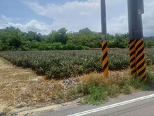 農地|高雄仁武國10交流道旁農地
