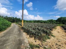 關廟新埔段甲種建築用地