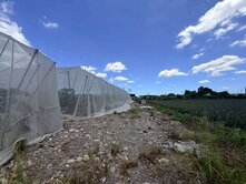 屏東長治/臨路方正農地/近長治交流道/義大健康園區