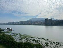 💝陽 光 和 煦 美 河 景💝安居房屋~林佳鴻