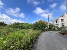 近A19樂天棒球場甲建
