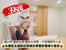 永康區近奇美尚青整新電梯大套房/住商林惠美
