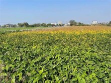 🌾 水林尖山國小｜平坦小農地｜樂活田園趣 🌾