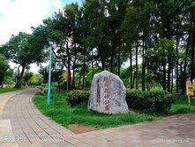 龍岡森林公園邊間大地坪美透天
