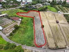 竹崎灣橋鐵道公園旁休閒農地