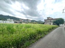 專任『璞玉計畫徵收範圍內臨路美農地』