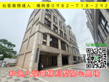 🔅桃園愛家房仲🔅和迪八悅電梯別墅開心農場