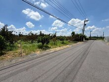頭社8米路平坦果園農地4.