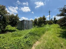 頭社6米路平坦果園農地8.