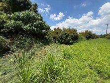 頭社6米路平坦果園農地9.