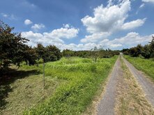 頭社6米路平坦果園農地11.