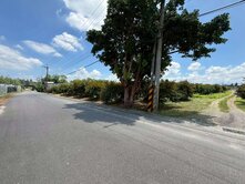頭社8米路平坦果園農地1