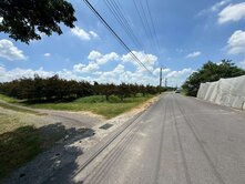 頭社8米路平坦果園農地2.