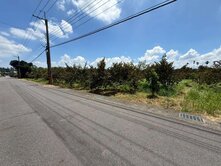 頭社8米路平坦果園農地3.