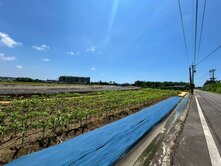 👉新豐崁頭段前後臨路小坪數😍開心農場🏕️