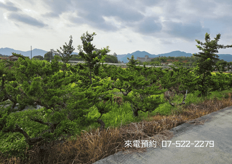 美濃過路｜臨路闊面｜優質農地