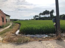 路竹樹人段漂亮土地