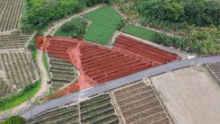 名間新街國小旁2.57分便宜平坦農地