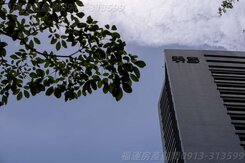 七期【T3親家市政國際】高樓百坪雙車｜現收現招租中