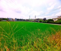 專任!降!🌾田園在腳下 寶鎮透天．低總價自在生活