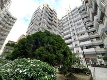 大雅星巴克.麥當勞/三房坡道機上車位/低總價