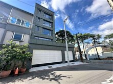 藝文大地坪全新電梯透天別墅