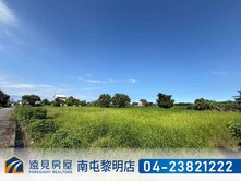 吉安鄉草芬段雙面臨路農地｜遠見房屋