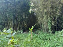 鴻禧山莊旁璀璨農地單坪僅2.88萬