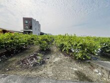 阿蓮崙子頂段百米深地⭐農地投資絕佳目標