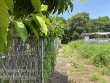 (專約)阿蓮生態園區大崗山休閒舒適好農地