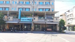 💥仁武10米路邊間大地坪69電梯雙車墅(三角窗)