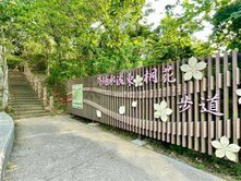 💥外埔置產首選-近甲后路千坪農地