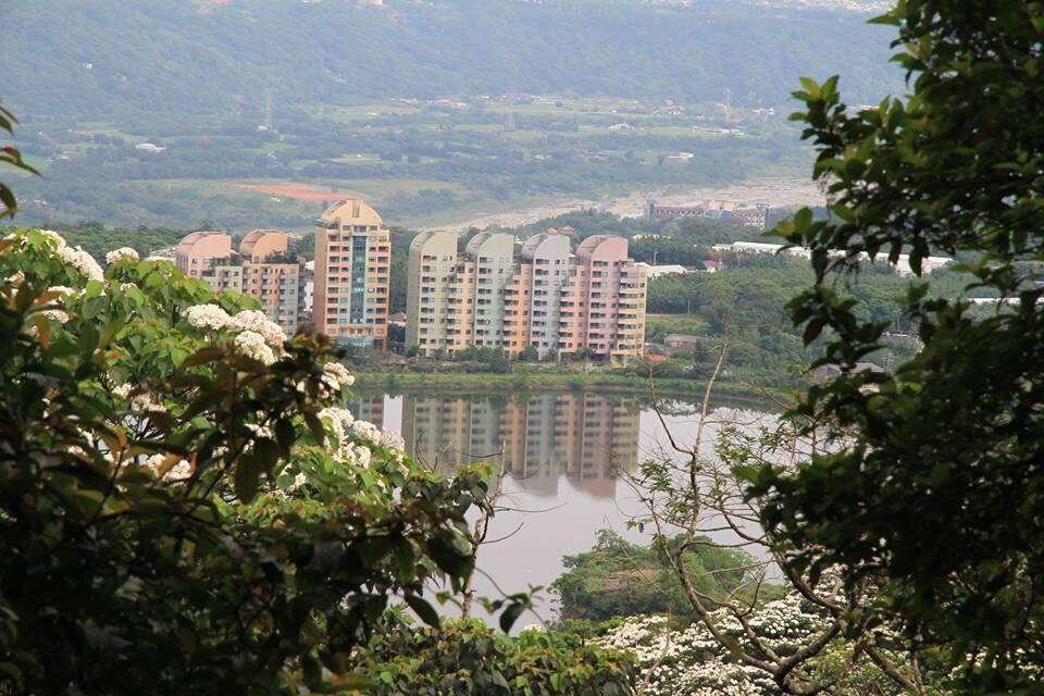 封面圖