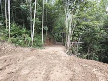 南投中寮農地🌟【683坪】🌟前有小河後有山坡