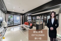 美術館首排｜高檔精品裝潢｜景觀3+1房雙平車