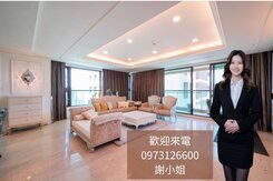 美術之星｜首排景觀角間｜雙主臥雙平車