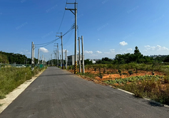 平鎮都計內田118坪/有水有電/臨大路